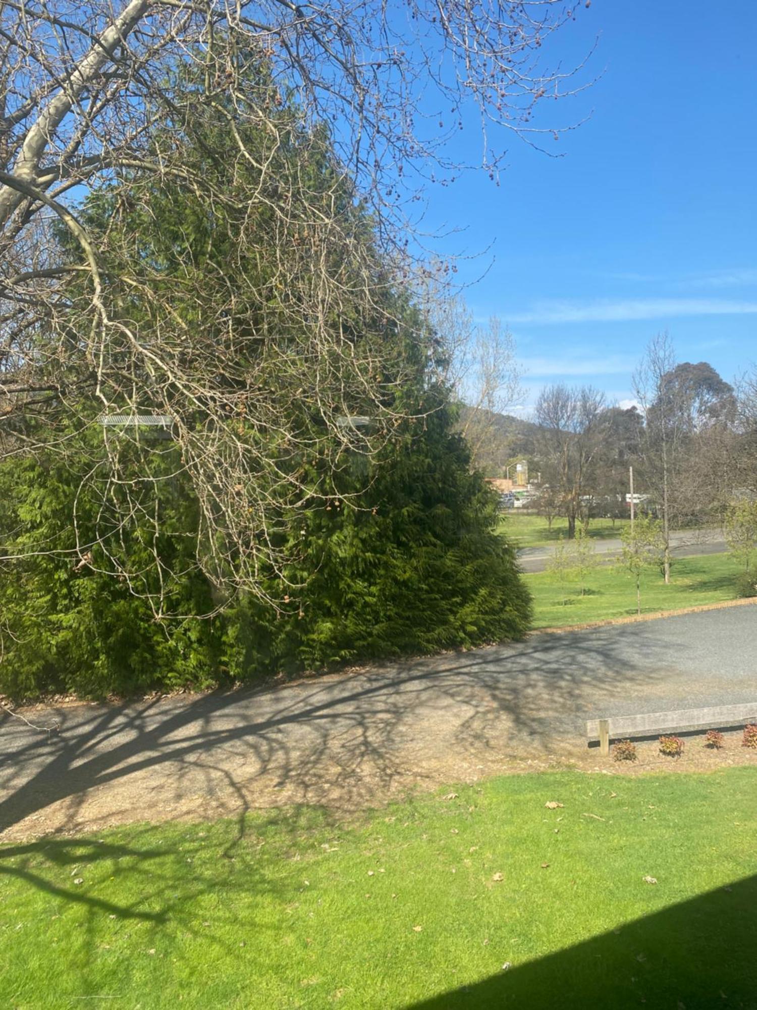 Tumbarumba Motel & Elms Restaurant 외부 사진